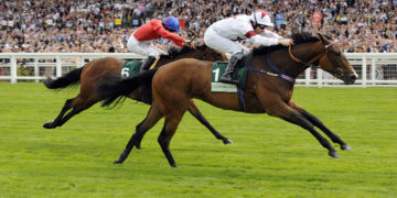 betting on horse racing