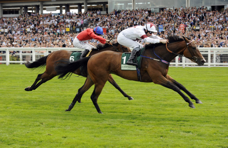 betting on horse racing