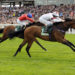 betting on horse racing